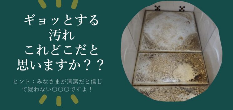 いつも綺麗だと思い込んでいた水。実は…